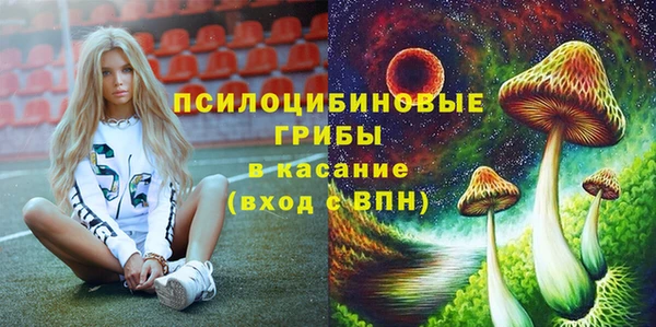 меф Пересвет